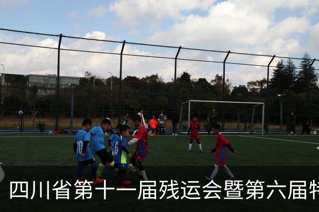四川省第十一届残运会暨第六届特奥会开幕